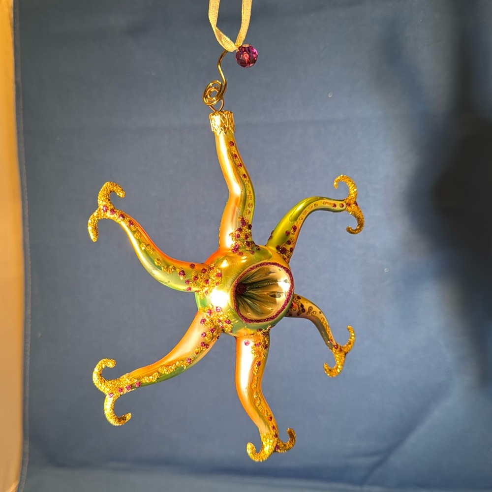 Morawski Starfish